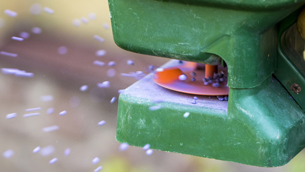 South Carolina Lawn Care