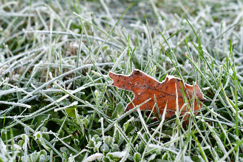 Lawn Winterizing